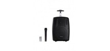 FONESTAR AMPLIFICADOR PORTÁTIL 100W