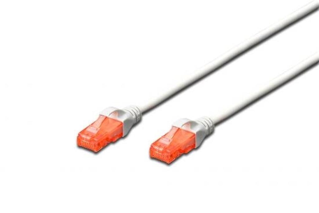 LATIGUILLO FTP CAT6 2M